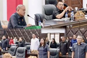 created by InCollage